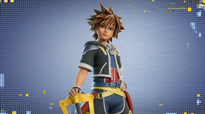 Costume Sora